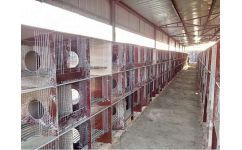 維書養(yǎng)兔設(shè)備廠 瓷磚兔籠配件 水泥兔籠配件